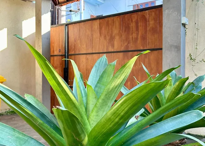 Singapore Spacious 3br Pool In