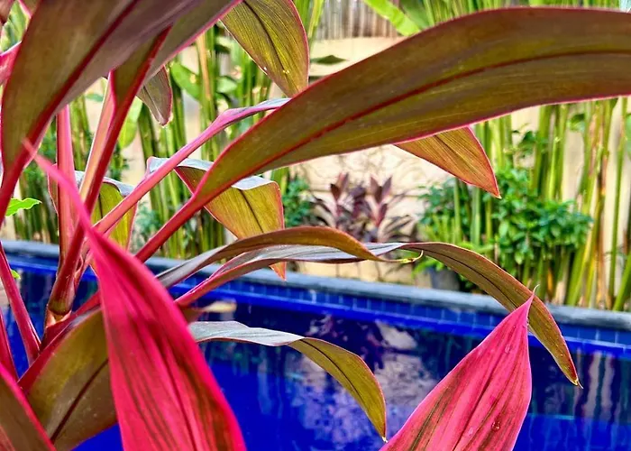 Singapore Spacious 3br Pool In *